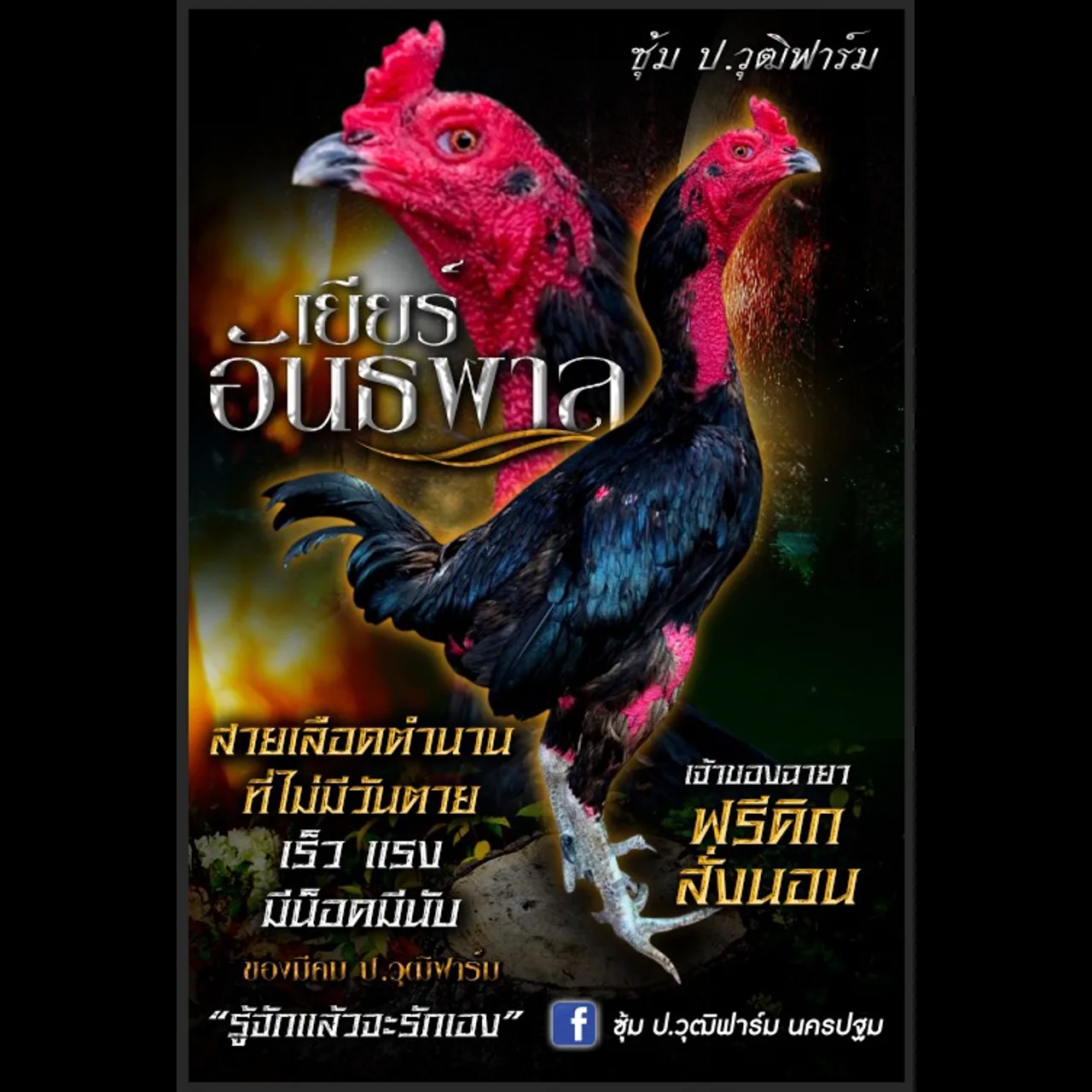 ทดสอบ — รูปที่ 5