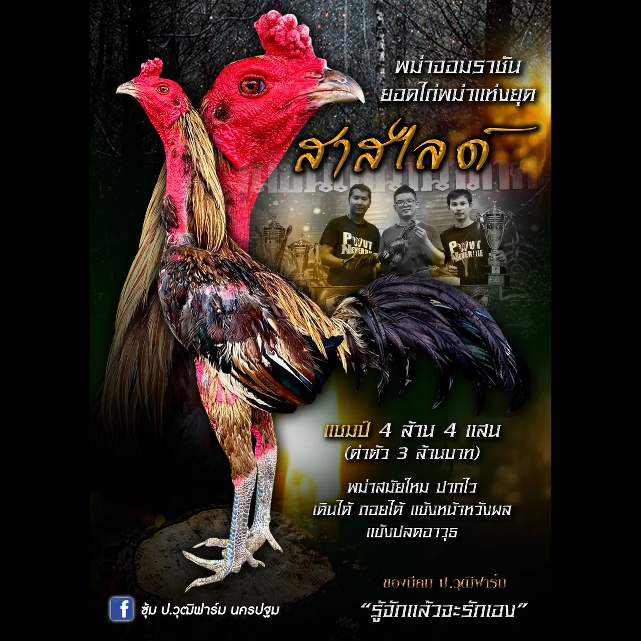 ทดสอบ — รูปที่ 7