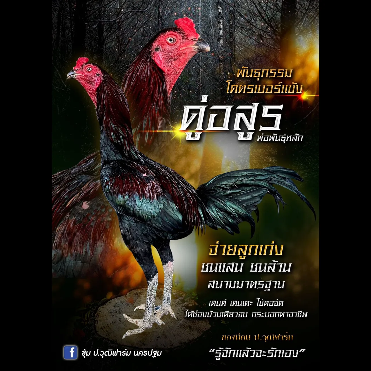 ทดสอบ — รูปที่ 8
