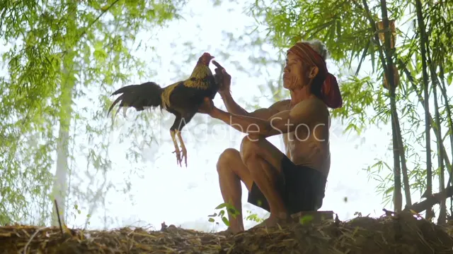 AdobeStock_488953039_Video_HD_Preview